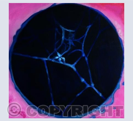 Electro-Web