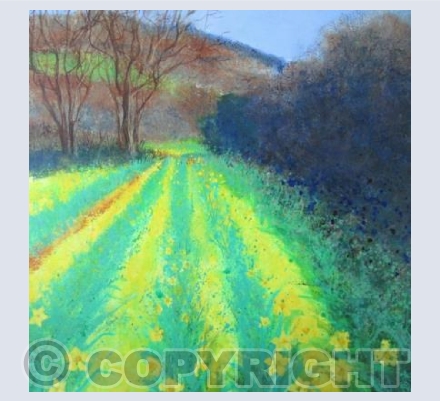 A Burst of \Yellow Daffodils Along the Track