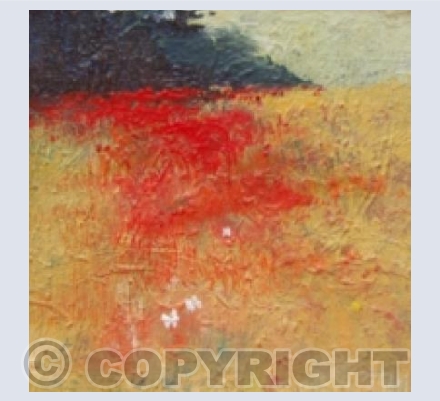 Butterflies Dancing over the Poppies