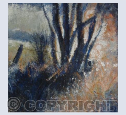 Blue Shadows,Evening Light, Frost Fronds, 