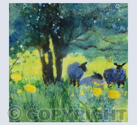 Under the shade, Blossoming Bush