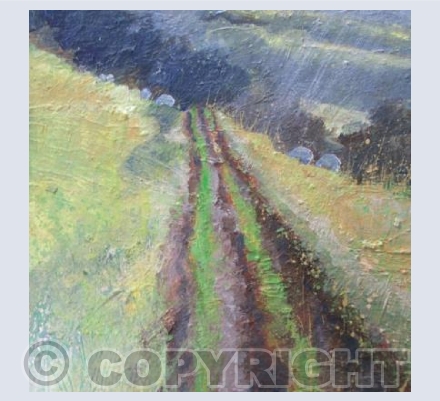 Hazy Sunshine, Sheep Grazing