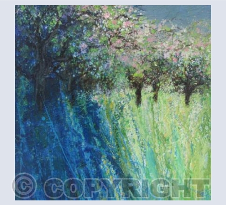 Bright Pink Blossom, Wild Orchard, Bird Song.