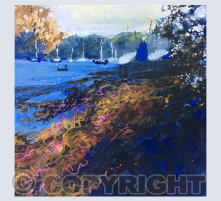 Blackthorn in Bloom, Low Tide, St Mawes