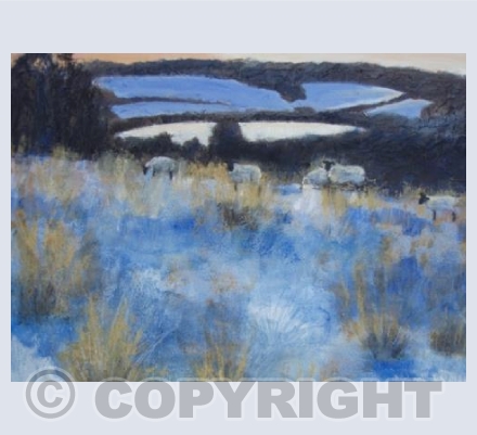 Deep Blue Shadows and Pink Afterglow