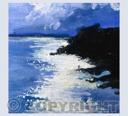 Fishing Off the Rocks. St Mawes