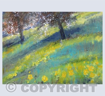 Pear Trees in Blossom, Sun Dazzle