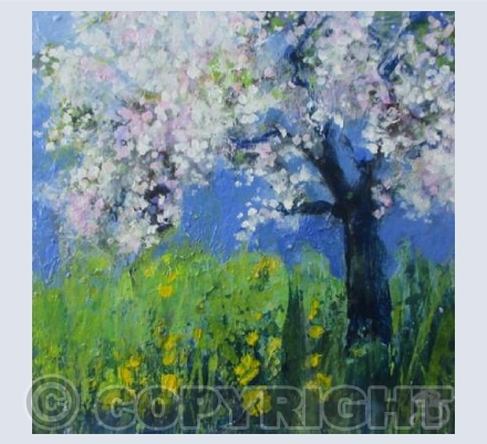 Buttercups and Apple Blossom Froth. 