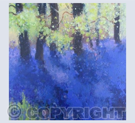 Beautiful Beech Leaves by a Bluebell Path.