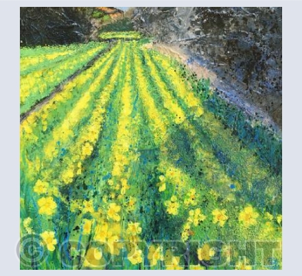 Along the Valley to the Daffodil Fields.