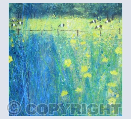 Lush Grass, Buttercups and Cows