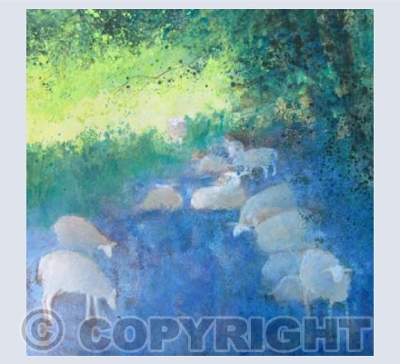 Sheep Under the Shade