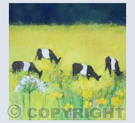 Meadow Bright, Cows Grazing
