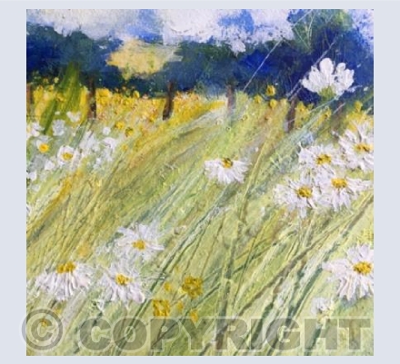 Bright Daisies in the Sun