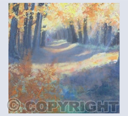 Sunbeams, Autumn Walk