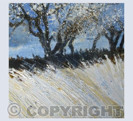 Frost Morning