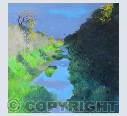 Big Puddles, Sunlit Gorse