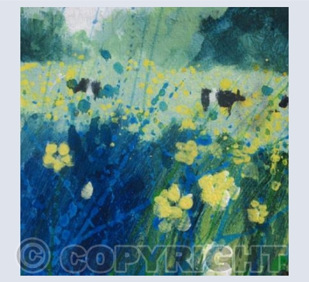 Buttercups and Cows