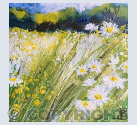 Daisy Meadow