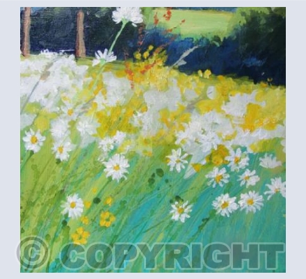 Bright Sun on a Meadow of Daisies