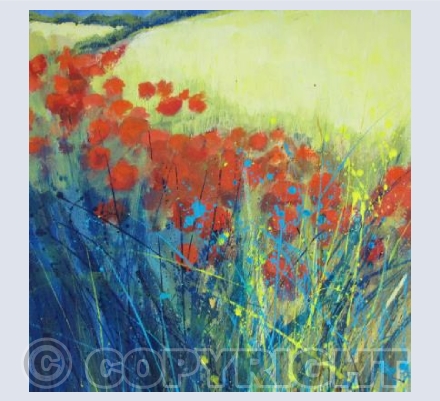 Bright Poppies at the Edge of the Field