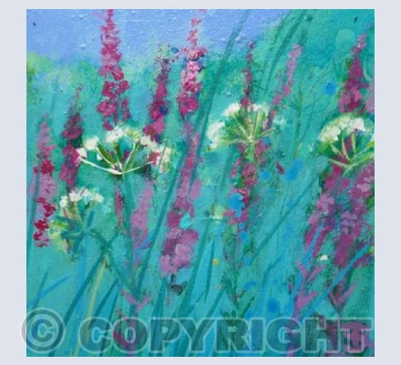 Cerise Pink Willow Herb by the Roadside.