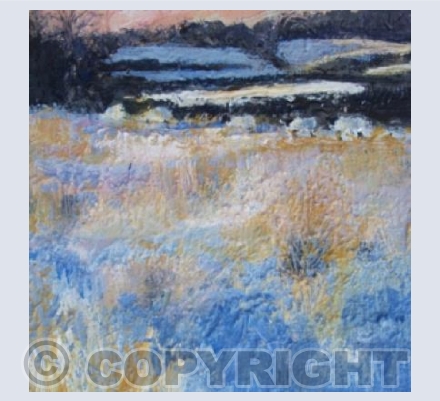 Four Sheep in a Snow Covered Field