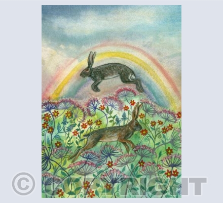 Rainbow hares