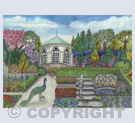 Peacock at Colby Woodland Garden