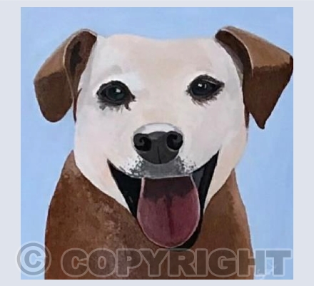 Smiling Pup