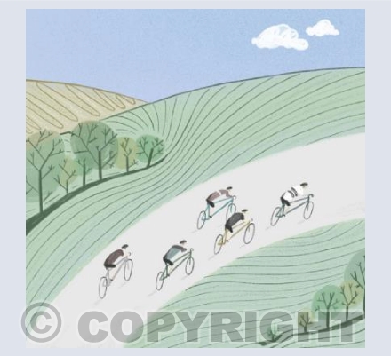 Kimmeridge Bay to Corfe Castle