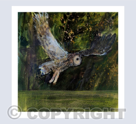 Along The Running River