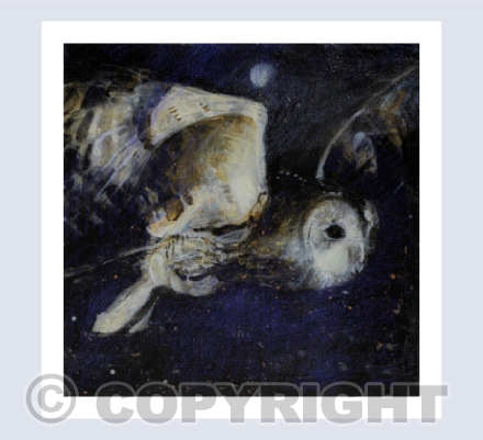THE DARKLING OWL