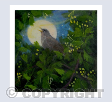 NIGHTINGALE SONG