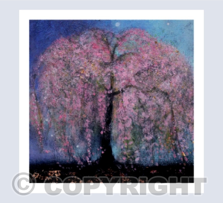 THE WILD CHERRY TREE