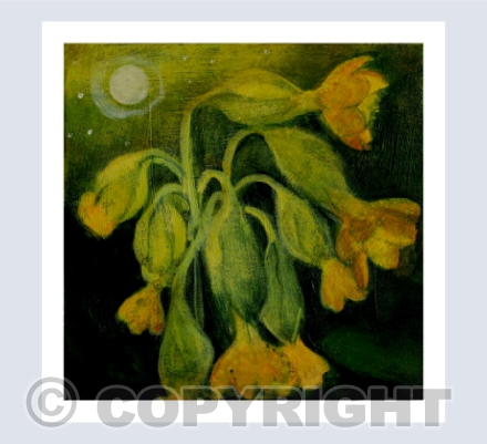 COWSLIPS