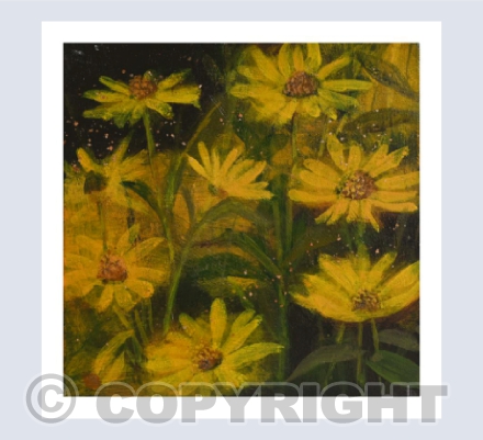 ARNICA