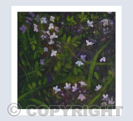 WHERE THE WILD THYME GROWS