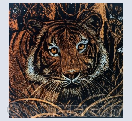 Eye of the Tiger