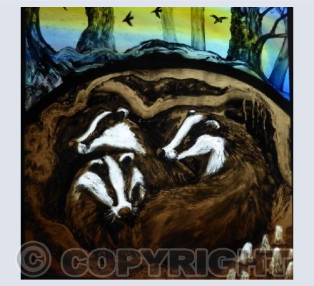 Twilight Badgers