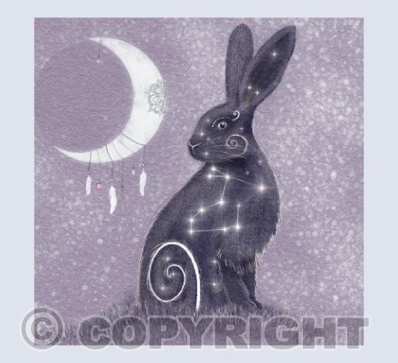 Lepus ~ The Hare