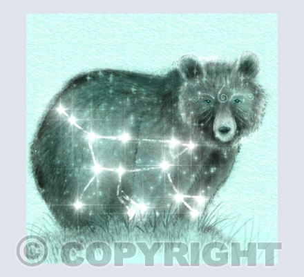 Ursa Major ~ The Bear