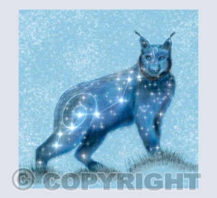 The Lynx