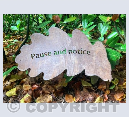 Pause and Notice