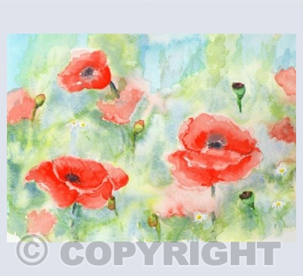 Poppies card