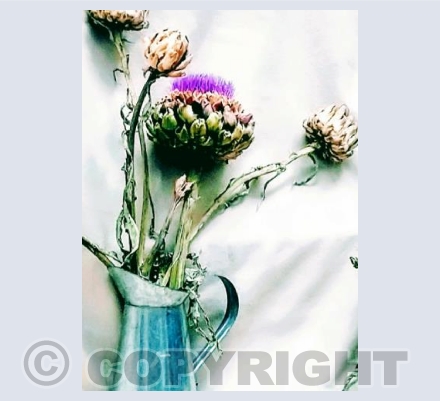 Artichokes in a Silver Jug