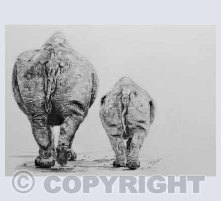 The Walk to Extinction