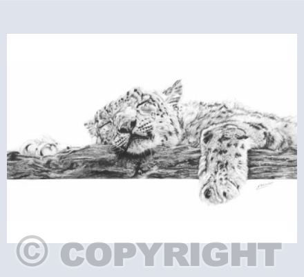 Sleeping Beauty