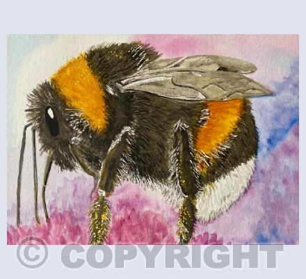 Bumble bee on pink flower 