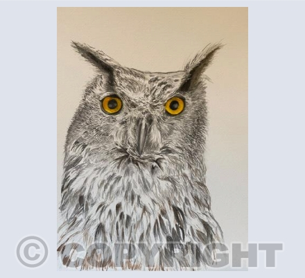 Eagle Owl number 1